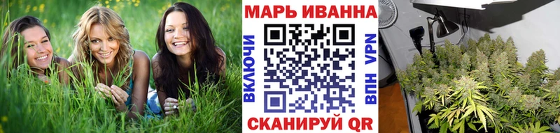 Бошки марихуана THC 21%  Купить  Ленинградская 